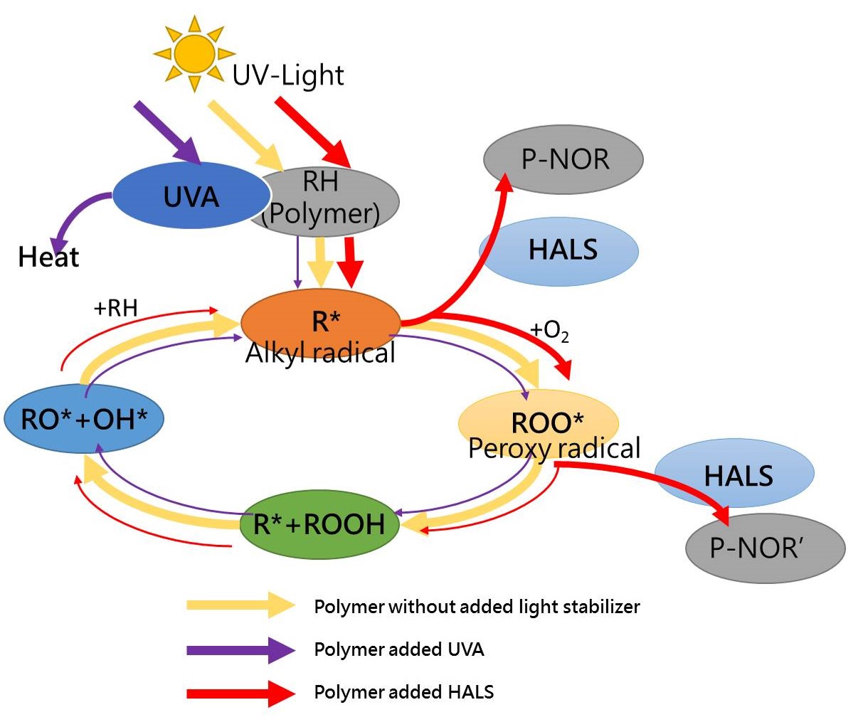 Κύκλος φωτο-οξείδωσης πολυμερών αλλά και μηχανισμός σταθεροποίησης των προσθέτων HALS και UV-A